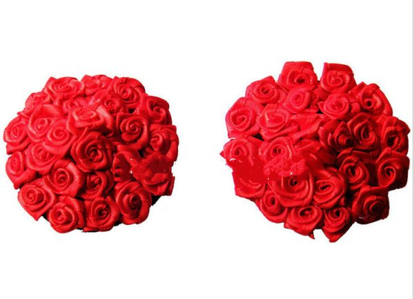 Red Rose Nipple Pasties